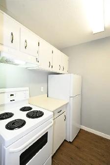 1-Bedroom 1-Bathroom l 212-4280 Quentin Avenue l Apartment - Photo 2