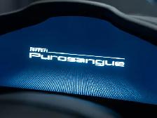 2025 Ferrari Purosangue | Stealth Wrap | Novitec Wheels | I.P.E - Photo 145