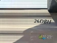 2016 Forest River RV Cherokee Grey Wolf 26DBH - Photo 3