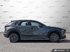2025 Mazda CX-30 GX AWD | No Accidents | Winter Tires| Premium - Photo 6