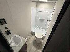 2024 - Photo 15