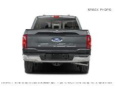 2025 Ford F-150 - Photo 4