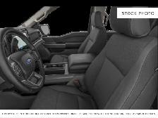 2025 Ford F-150 - Photo 5
