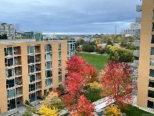 Downtown Ottawa,Indoor Parking,One Bedroom Condo,In-Unit Laundry - Photo 9