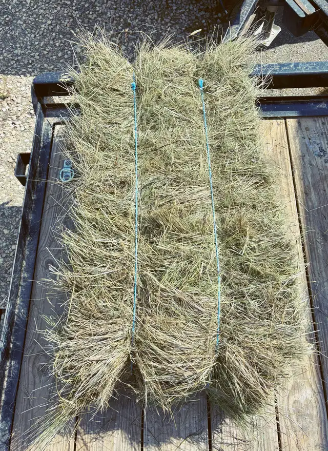Grass Hay Bales, No Rain (Small Square)