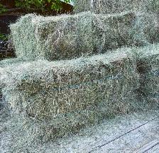 Grass Hay Bales, No Rain (Small Square) - Photo 2