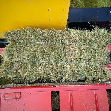 Grass Hay Bales, No Rain (Small Square) - Photo 3