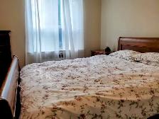 1br - Sept 1 – Fully Furnished Private Suite Yonge/Lawrence - Photo 4