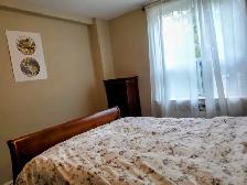 1br - Sept 1 – Fully Furnished Private Suite Yonge/Lawrence - Photo 5