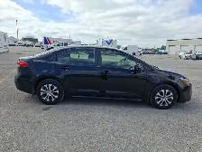 2025 Toyota Corolla Hybrid - Photo 4