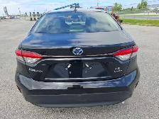 2025 Toyota Corolla Hybrid - Photo 6