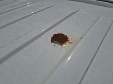 2014 Ford F-250 Super Duty w/Side Airbags/Curtains Delete - Photo 38