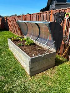 Greenhouse Top - Photo 2
