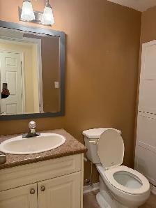 FURNISHED ROOM FOR RENT RICHMOND HILL - Photo 8