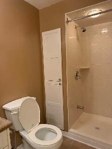 FURNISHED ROOM FOR RENT RICHMOND HILL - Photo 9