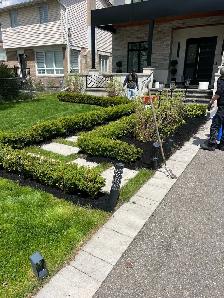 grass cutting and weed control 289-772-7822 - Photo 2