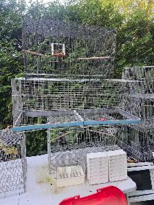 cages volières accessoires pour oiseaux exotiques