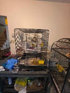 cages volières accessoires pour oiseaux exotiques - Photo 7