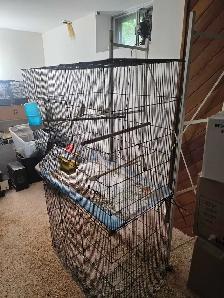 cages volières accessoires pour oiseaux exotiques - Photo 8