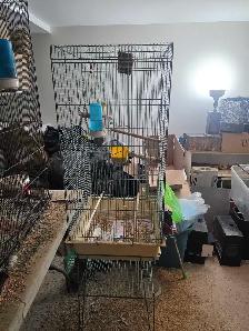 cages volières accessoires pour oiseaux exotiques - Photo 9