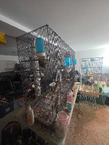 cages volières accessoires pour oiseaux exotiques - Photo 10