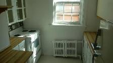 3 Bedroom Centretown Apartment for Rent (353 Frank St) - Photo 9