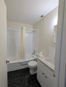 1 bed 1 bath apartment - Photo 3