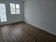 GRAND 4 1/2 À LOUER DANS LE QUARTIER ST-MICHEL - Photo 6