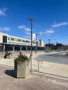 LOOKING FOR A ROOM - UNIVERSITY OF GUELPH