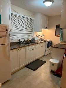 Bright 2bdrm APT- RENOVATED/SPACIOUS/SELF CONTAINED! - Photo 3
