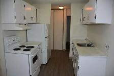 1 Bed 1 Bath Unit in Calgary, AB - Photo 8