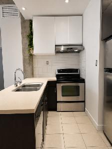 One Bedroom (3 1/2)-Old Port Montreal - $2,200/Month. - Photo 7