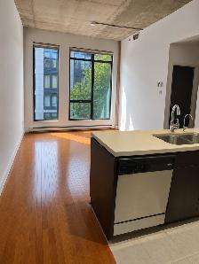 One Bedroom (3 1/2)-Old Port Montreal - $2,200/Month. - Photo 8