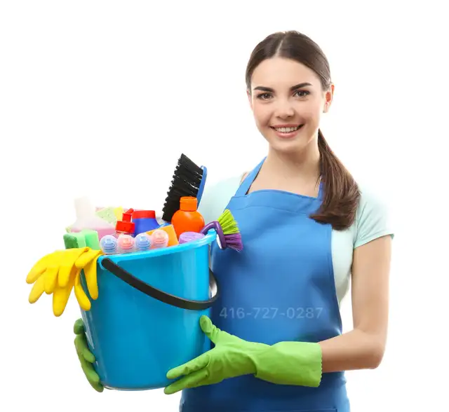 European quality house cleaning services
