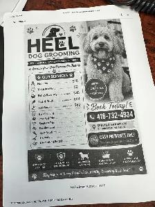 Dog grooming