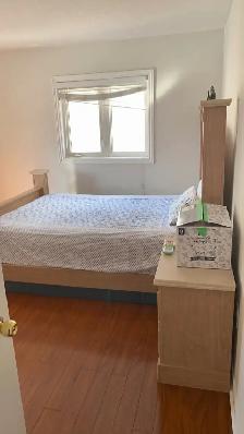 $650 private room for rent for girl - Photo 5