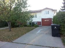 Bright Raised One-Bedroom Basement Suite – Great Location - Photo 12