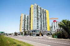 Walk2University,LRT Stn,Bus,Mall,Park,Close2SAIT,Downtown Corner - Photo 5