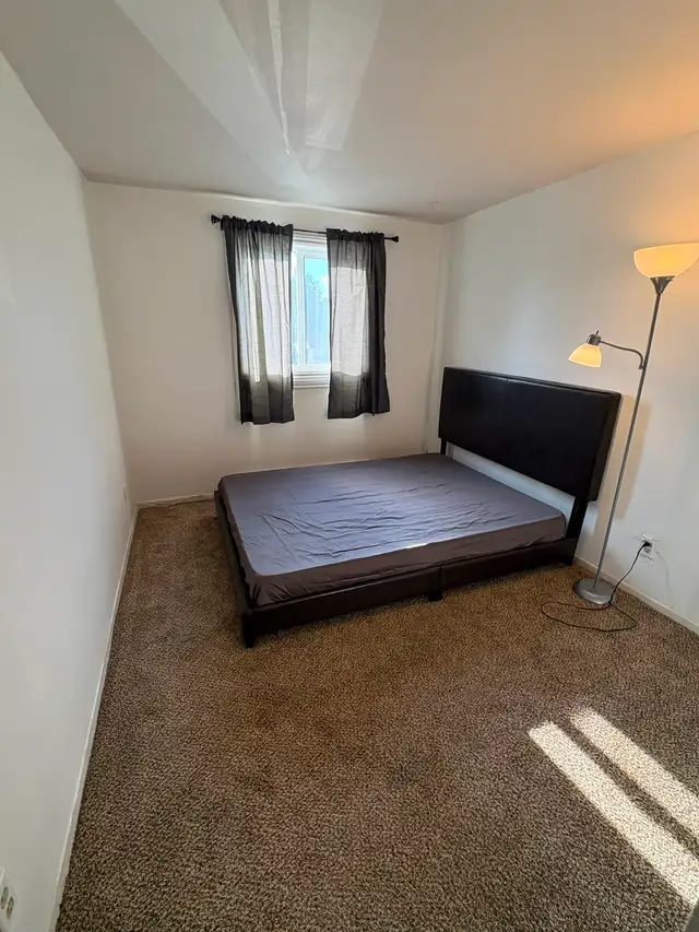 2 Bedroom Apartment to SHARE with 1 person