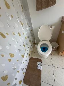 Student Room Rental with PRIVATE BATHROOM at York University - Photo 10