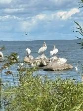 WATERFRONT LOTS - 0% INTEREST FOR 6 MONTHS - Photo 10