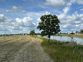WATERFRONT LOTS - 0% INTEREST FOR 6 MONTHS - Photo 12