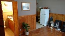 Centretown Basement Bachelor/Studio for Rent (192 Somerset St W) - Photo 4