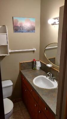 Centretown Basement Bachelor/Studio for Rent (192 Somerset St W) - Photo 6