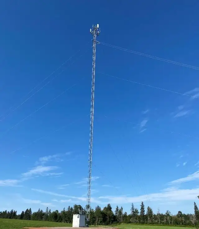Growing Company requires Tower Riggers