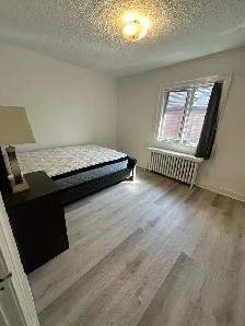 BRIGHT AND SPACIOUS ROOM FOR RENT MIDTOWN - EGLINTON AND YONGE - Photo 2