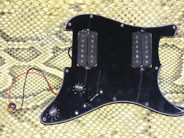 NEW Loaded guitar pick guard