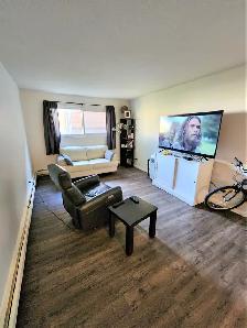 Large 1 bed / 1 bath, Gas and water included! - Photo 4