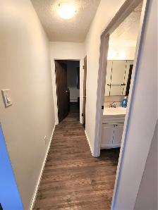 Large 1 bed / 1 bath, Gas and water included! - Photo 5
