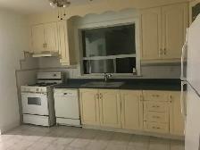 One bedroom apartment $1600 - Photo 4